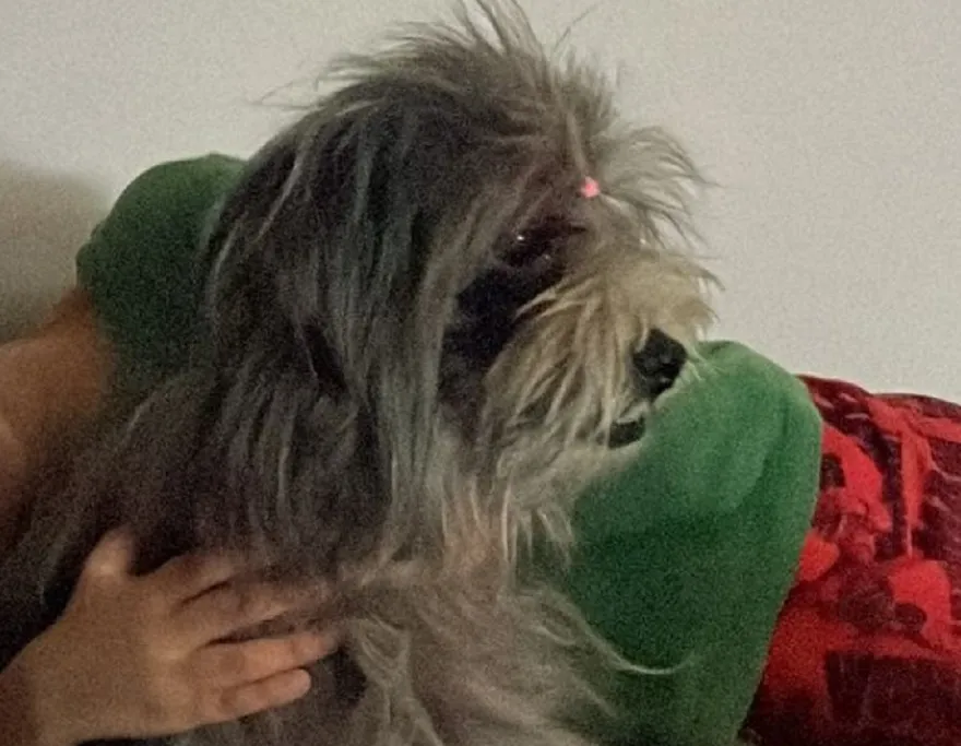 Olha a Maya aí! “Nem tenho como agradecer ao Eu Vi em Linhares”
