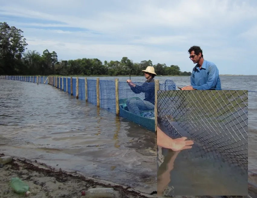 Piranhas atacam humanos após ação criminosa em lagoa de Linhares