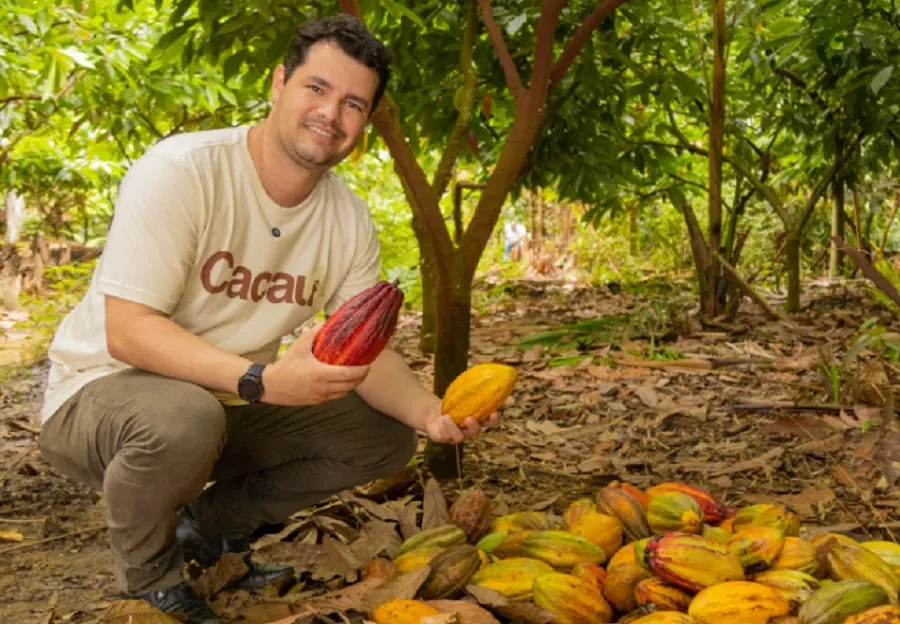 Começa o 10º Concurso de Qualidade de Amêndoas de Cacau em Linhares