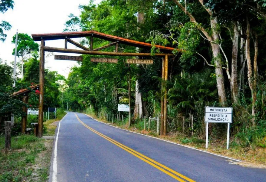 Feriado em meio à natureza, e de graça em Linhares. É na Floresta Nacional de Goytacazes 