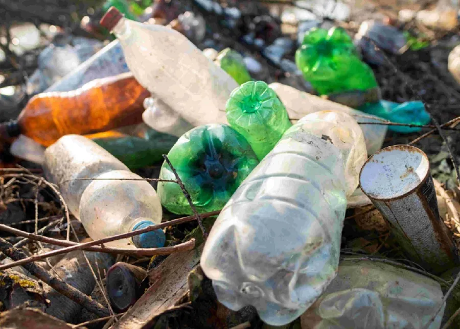 Dia Mundial da Reciclagem: Brasil está entre os maiores produtores de lixo plástico do mundo