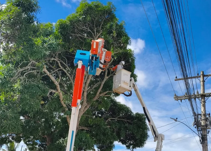 EDP realiza mutirão de poda no Centro de Montanha