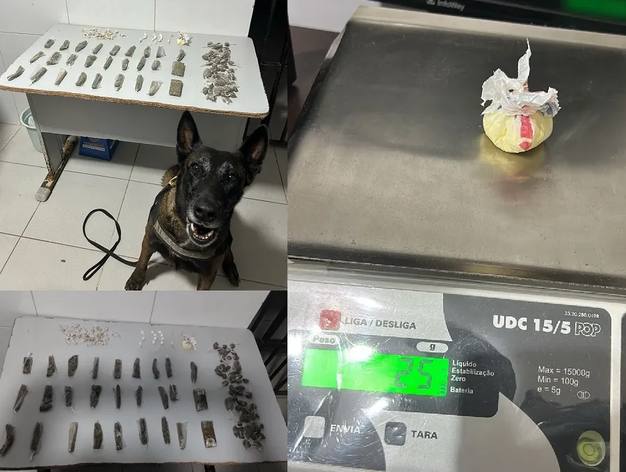 Drogas apreendidas e correria num conhecido beco, no Aviso