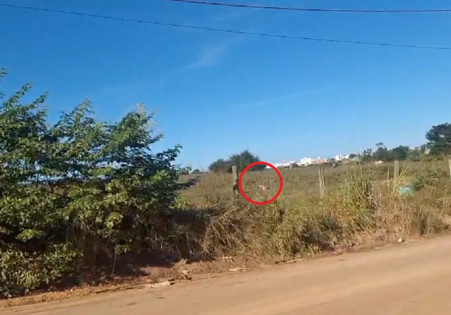 Homicídio em Linhares. Vítima pode ter sido morta ajoelhada