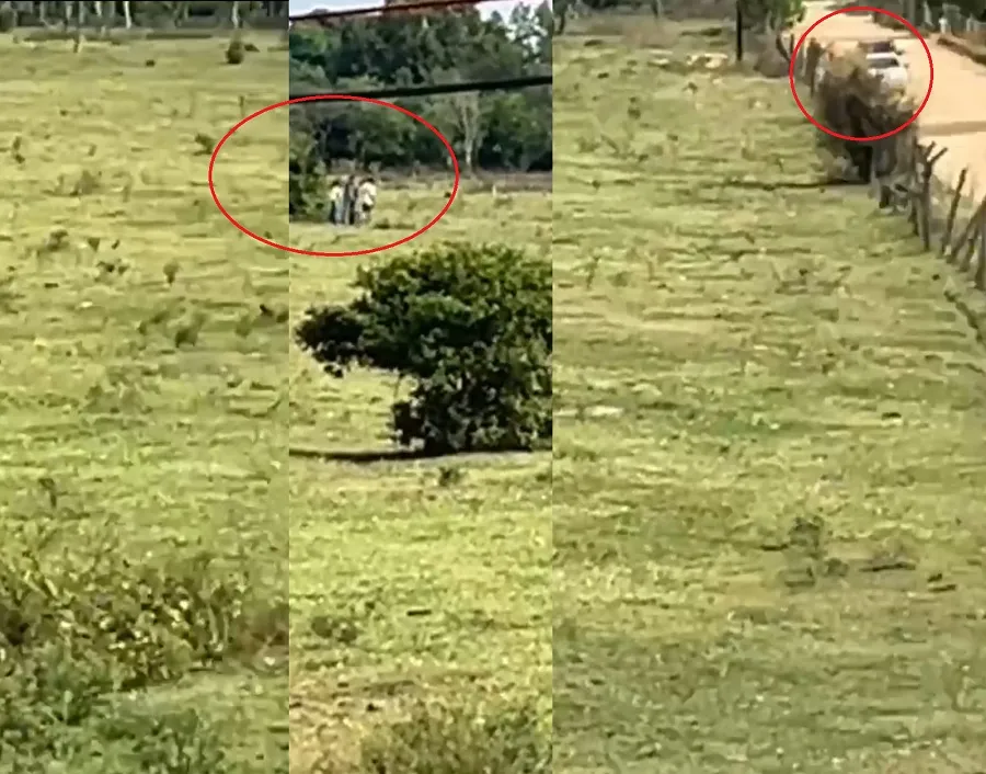 Integrantes do MST ocupam área no Palhal, Linhares