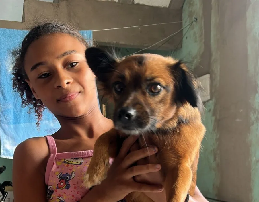Doguinha que se desesperou com barulho de fogos é encontrada em Linhares