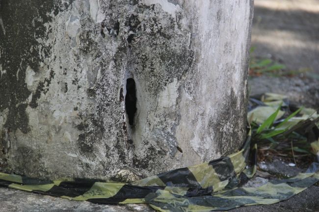 Cuidado: ataque de abelhas na BR-101