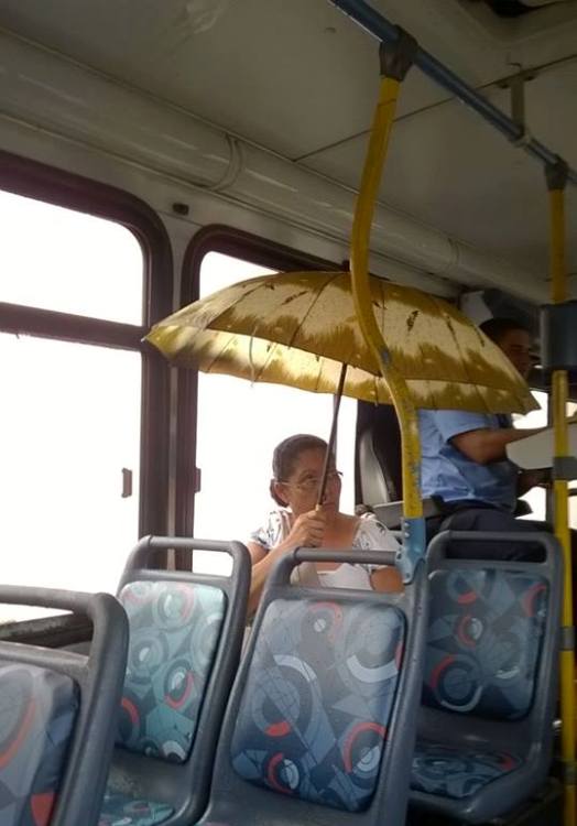 Goteira: passageira usa sombrinha em ônibus da linha Interlagos