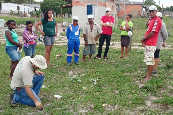 De graça em Povoação: curso gratuito sobre plantas ornamentais: confira detalhes e inscreva-se