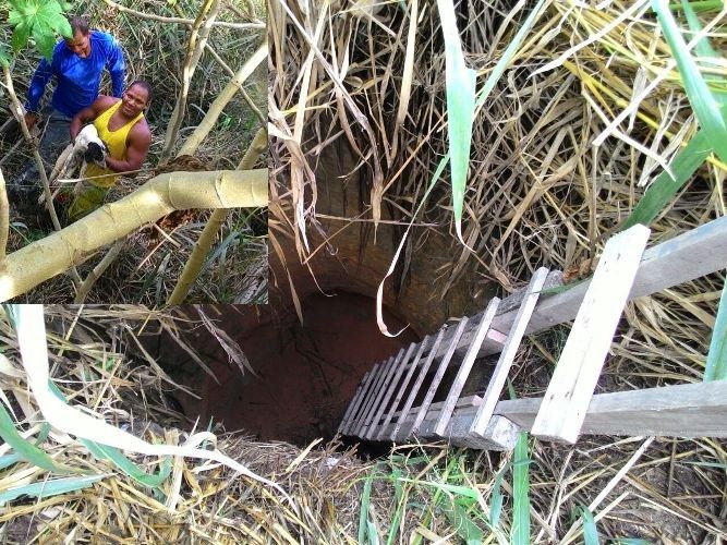 Cachorro cai em buraco de lote abandonado e internauta pede ajuda ao quadro