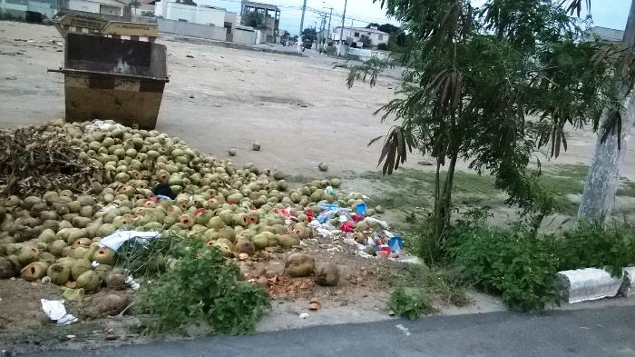 Eca: vendedores de água de coco causam sujeira e transtorno no BNH