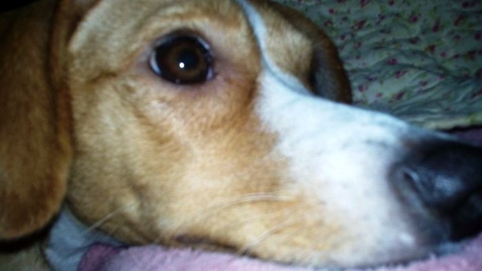 Lili é encontrada junto com garotos que soltavam pipas