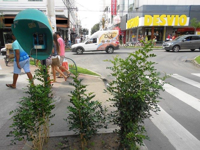 Rua da Semana: muita história e os melhores da Capitão José Maria