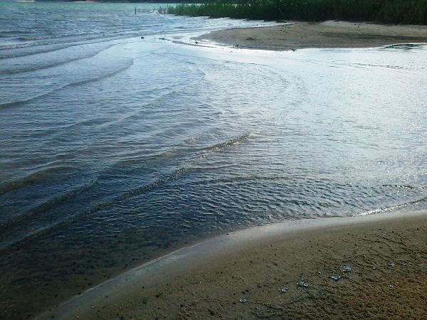 Seca: situação de rios, lagos e lagoas é cada vez mais preocupante