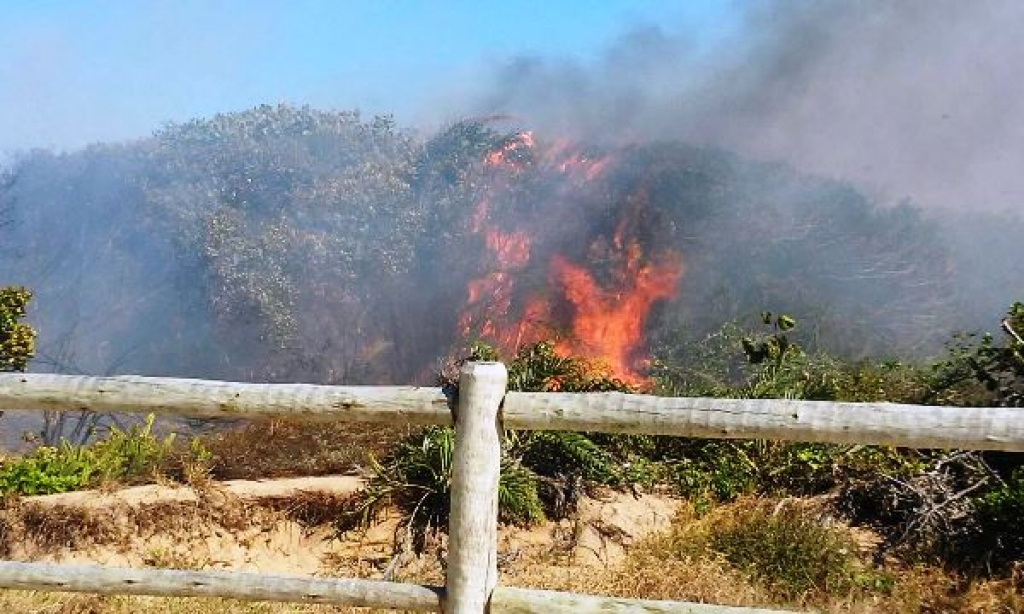 Confira vídeo e fotos: Moradores evitam tragédia em área ambiental de Pontal do Ipiranga