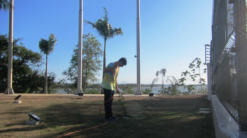 Registro: Skatistas plantam aroeiras na Praça Regis Bitencourt