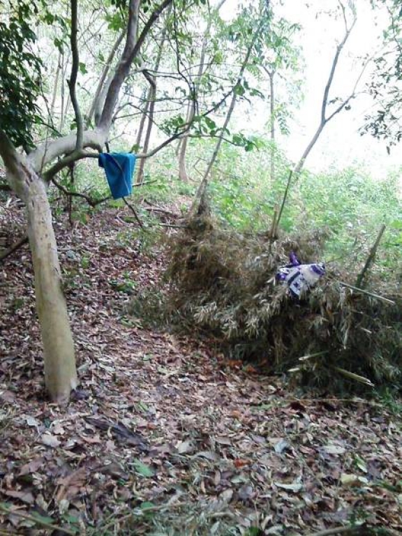 Babilônia: Zenilton Custódio encontra “Floresta encantada” perto de bairro nobre de Linhares