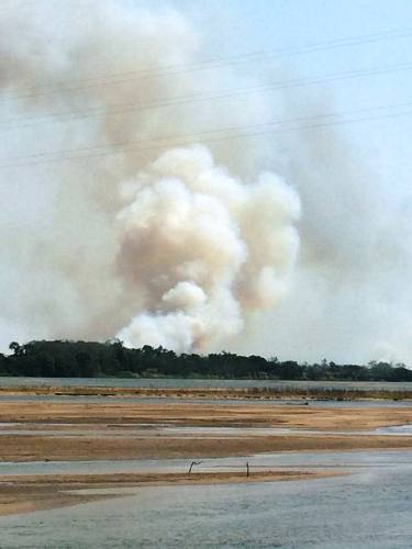 Muito grave: incêndio atinge Floresta Goytacazes