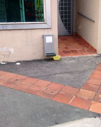 Que tudo! Veja o que um internauta viu no Centro de Linhares