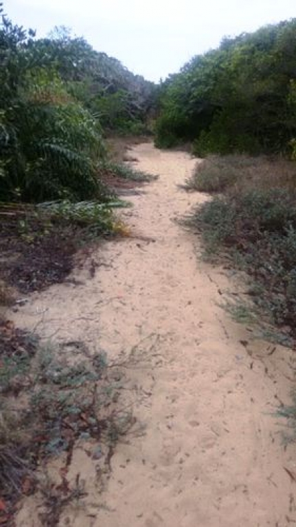 Finados: balas são encontradas no Cemitério Morro dos Anjos