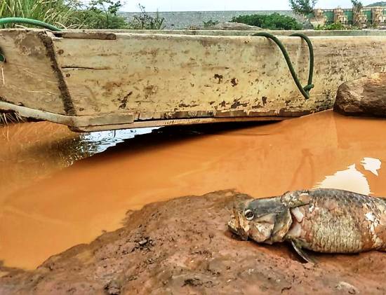 Vale doou para metade da comissão do Rio Doce. Coordenador do grupo recebeu R$ 98 mil