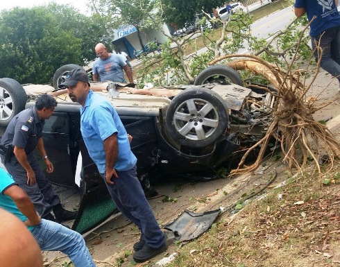 Carro bate, arranca árvore e capota na BR-101