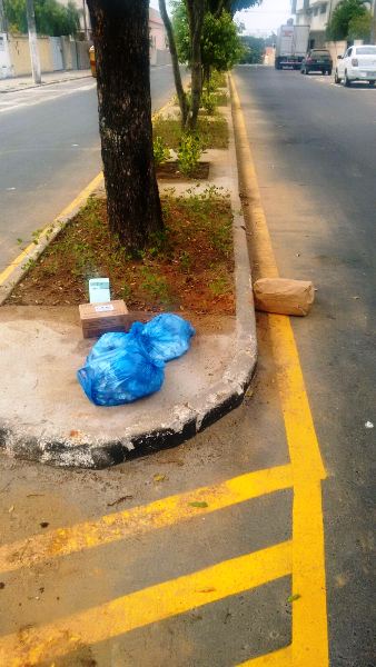 Moradores “enfeitam” canteiros de avenida com lixo