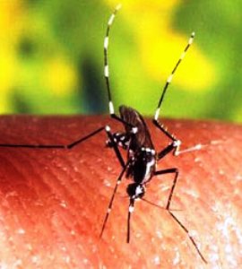 2016: sábado tem Dia D de combate à Dengue em Linhares