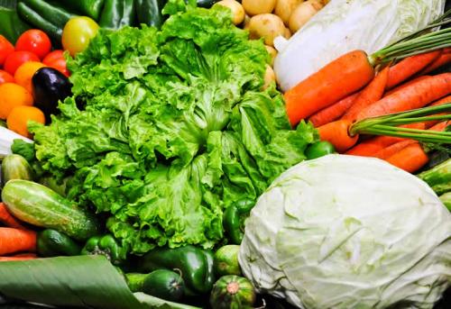 Aos domingos: E vem aí, a primeira feira com produtos orgânicos de Linhares