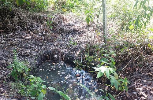 Uma nascente está morrendo no bairro Vila Isabel, diz morador