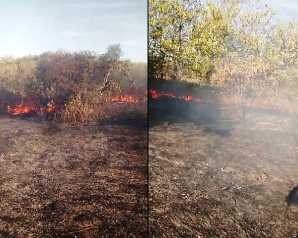 Fogo consome área atrás do Parque Municipal da Lagoa