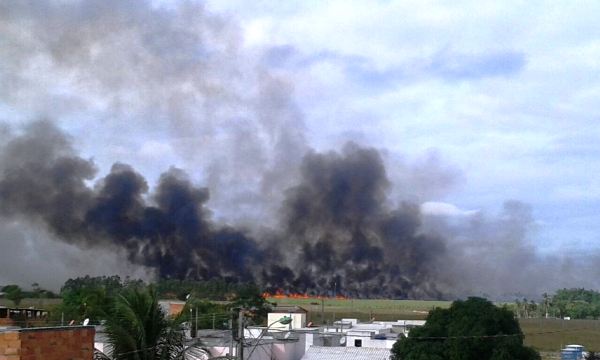 Fumaça chama a atenção no Canivete e Santa Cruz. Confira o que disse o Corpo de Bombeiros