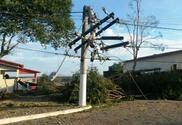 Vídeo: ventania derruba árvores e quebra postes em Aracruz