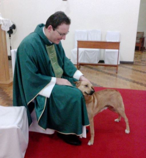 Cachorro participa de missa e até uiva durante “glória”