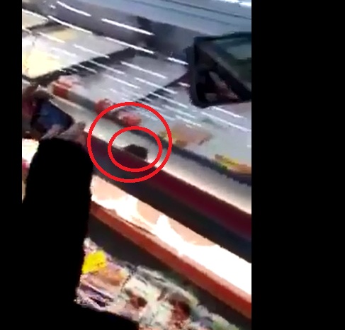 Imagine à noite? Ratinho “passeia” entre alimentos perecíveis de supermercado