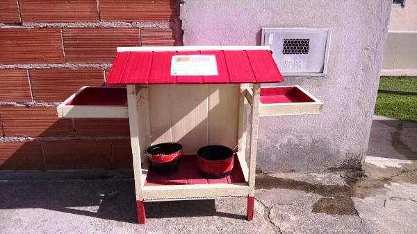 Voluntária ganha comedouro e decide usá-lo para animais de rua