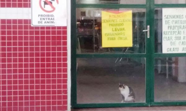 Como? Cena destoa determinação de supermercado em Linhares