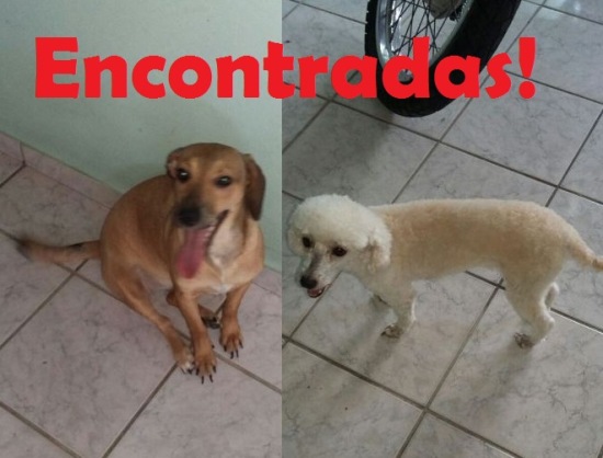 Alegria geral na casa de Lilica e Belinha. Saiba como elas reapareceram