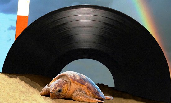 Hoje e de graça: Flash Back no vinil em Regência Augusta