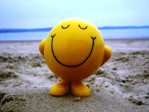 Dica enviada: Meditação do dia 