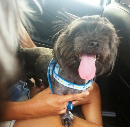Ares aparece e fica horas namorando a Princesa