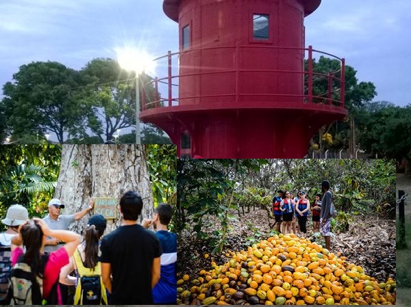 Programação para todos os gostos em neste resto de verão