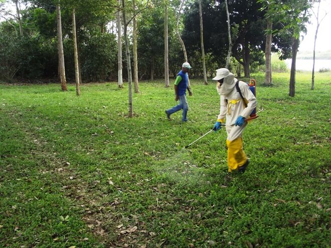 Sindicato Rural de Linhares termina 2013 com balanço positivo 