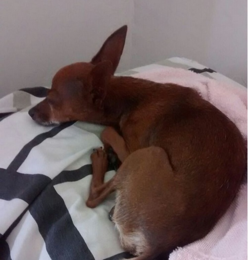 Olha só quem voltou para casa!