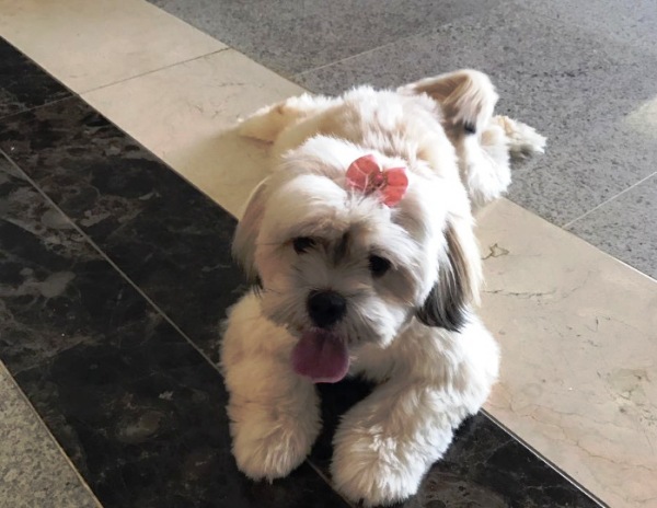 Quem é o dono dessa lindinha?