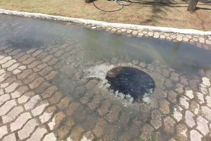 Fim de semana ‘fedorento’ na Linha Verde