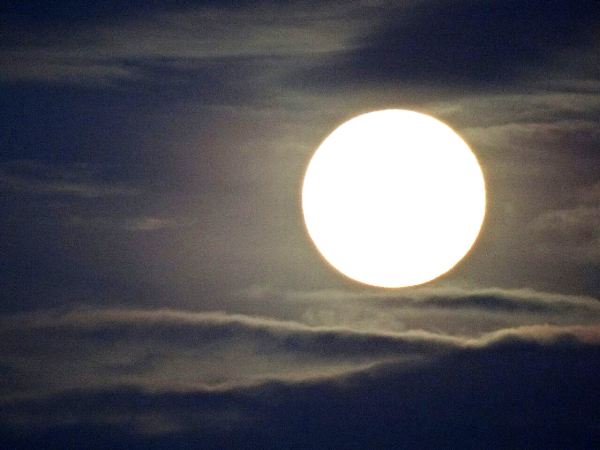 Espetáculo da natureza: Lua cheia encanta em Linhares