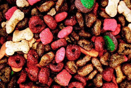 Morte de animal por intoxicação alimentar leva fabricante de ração a indenizar família em R$ 12 mil