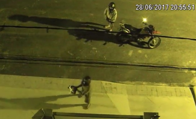 Vídeo: Gato é arremessado para varanda de apartamento no Interlagos