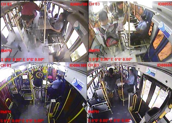 Contraventores de roleta e clandestinidade do serviço de transporte de passageiros em Linhares